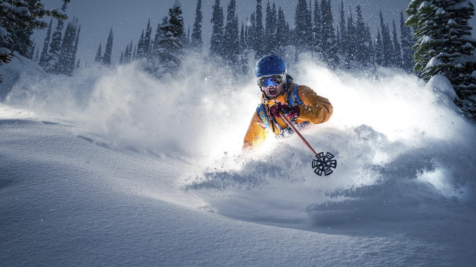 kaiyun中国-双星闪耀，孙兴慜传射建功，皇马新星横空出世，球探笔记写下未来，双星闪耀，孙兴慜传射建功，皇马新星横空出世